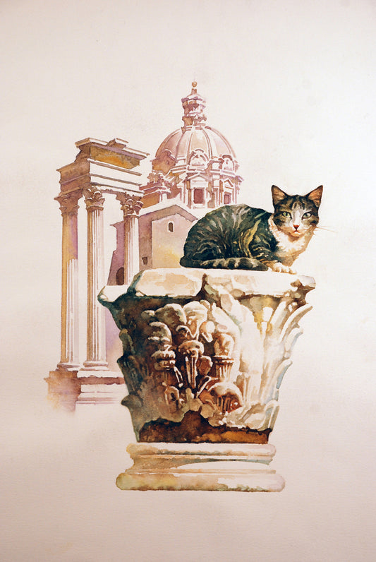 Roman Cat